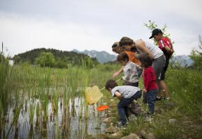Un week-end pour découvrir  la faune et la flore locales.YANN ANDRÉ