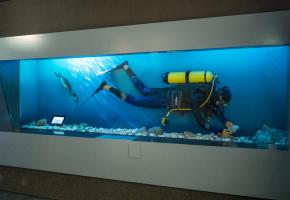 Les plongeurs sont essentiels aux recherches scientifiques dans le lac Léman. 