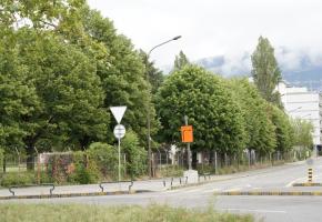 Les tilleuls de la caserne des Vernets vivent leurs dernières semaines. En médaillon, Serge devant ses ruches. CHRISTIAN BONZON