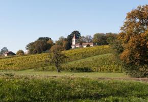 Un itinéraire à la découverte des vignobles de la rive gauche du lac (ici Choulex  et son église). SUISSEMOBILE