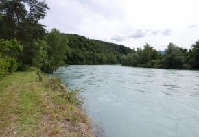Au départ, la sentier longe le Rhône avant de s’engouffrer dans la forêt. GENÈVE RANDO 
