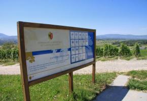 Une immersion dans la région nommée «Champagne». SUISSEMOBILE