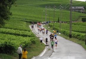 Une course écoresponsable entre vignes et champs. COURSE-DU-MANDEMENT.CH