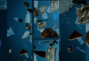 Des fragments de microplastiques presque magnifiés par le photographe Fred Merz. OCEANEYE