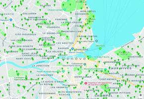 Chaque point vert représente un avis d’abattage d’arbres (de trois à six) depuis janvier. 