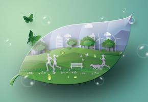 123RF/THANAPHIPHAT SUANPAN 