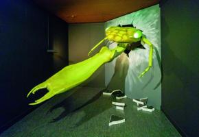 PHILIPPE WAGNEUR / MUSéUM GENèVE