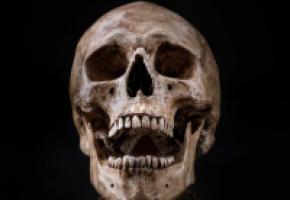 123RF/W. YOSTHAMRONG   