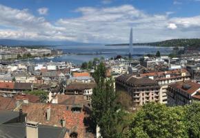 Genève a besoin de densité, mais aussi de verdure. FRANCIS HALLER