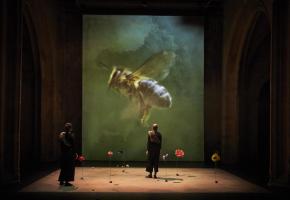 La pièce raconte la romance qui se noue depuis 100 millions d’années entre les abeilles et les fleurs. ELIE BARTHES