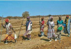 Jean-Edouard Buchter, auteur du livre «Reverdir le Sahara». CHRISTIAN BONZON