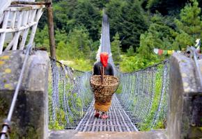 Découvrir un tourisme écologique et équitable envers les populations autochtones.DR
