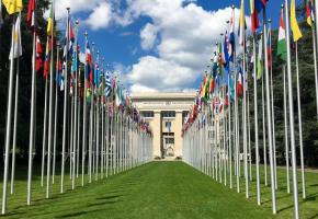 Le siège européen de l’ONU à Genève. En ce début d’année, l’organisation vit une crise de liquidités sans précédent. DR