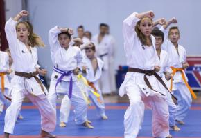 Depuis quelques années, on assiste à une démocratisation des sports de combat.