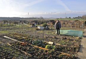 Des scènes récurentes qui agacent les propriétaires de chalets dans les jardins familiaux. DR Saskia Duarte, vice-présidente de la Fédération des jardins familiaux. DAVID ROSEMBAUM-KATZMANN 