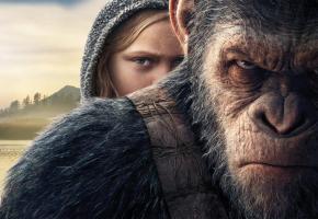 «La Planète des singes: Suprématie», réalisé par Matt Reeves, est sorti en 2017. DR