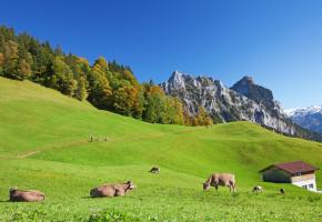 Les cantons de montagne auront sans doute la c0te cette année. 123RF/FEDOR SELIVANOV