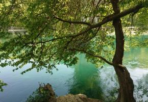 Un havre de tranquillité et de fraîcheur à deux pas de la ville. MP
