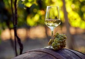 123RF/ROSTISLAVSEDLACEK 