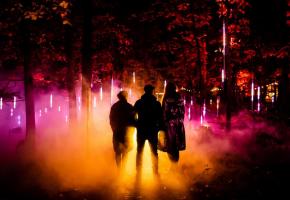 Une forêt enchantée qui plonge le visiteur dans un monde imaginaire. 