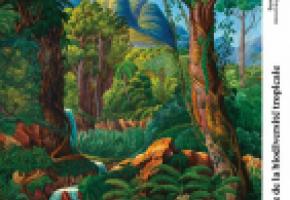 L’exposition permet de rappeler l’importance de la forêt amazonienne. CJBG