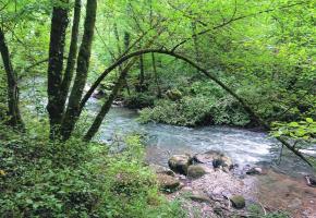 Appelée Divonne à sa source au pied du Jura, la Versoix est une rivière franco-suisse qui parcourt 22 km dont 10 km sur territoire genevois.