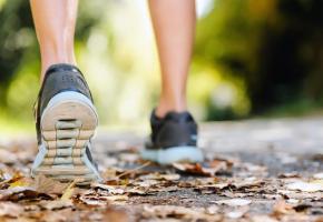 123RF/WARRENGOLDSWAIN