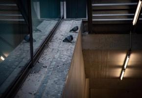 Les CFF vont renforcer les nettoyages et poser des pics anti-pigeons supplémentaires. 