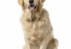 123RF/ISSELEE ERIC PHILIPPE 