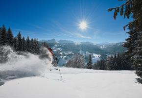 Le secteur Les Gets/Morzine est un joyau à découvrir du vaste domaine des Portes du Soleil. 