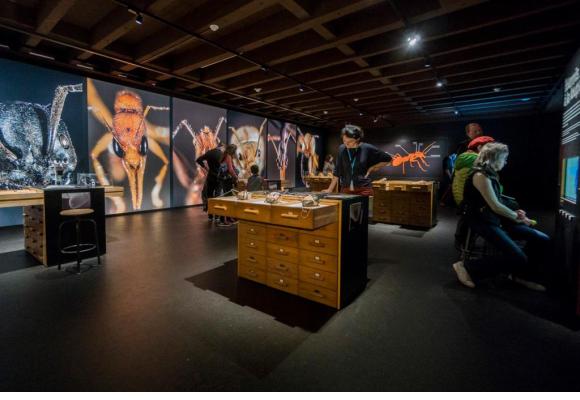 Le plus grand musée d’histoire naturelle de Suisse. PH. WAGNEUR/MUSéUM D’HISTOIRE NATURELLE 