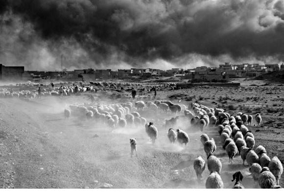 Le Grand Théâtre de Genève a construit sa saison autour de  cette thématique: Exil contraint, exil choisi. PAOLO PELLEGRIN