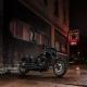 HARLEY-DAVIDSON LOW RIDER S • 