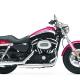 HARLEY-DAVIDSON SPORTSTER 1200 CUSTOM - Rebelle encore plus belle