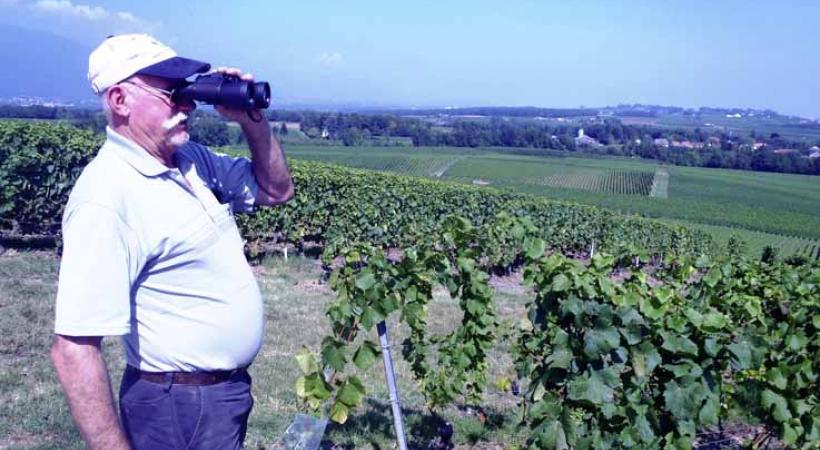 Les gardes-récolte veillent au grain