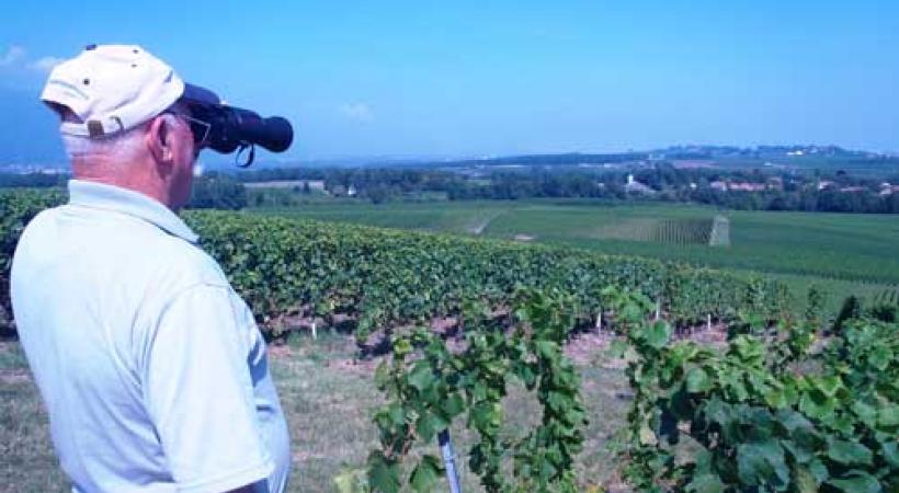 Récoltes sous haute surveillance