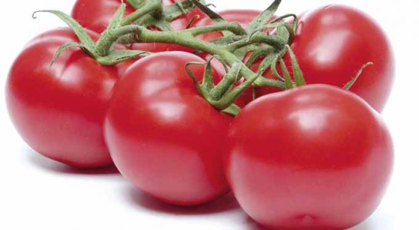 Insalata caprese aux tomates confites