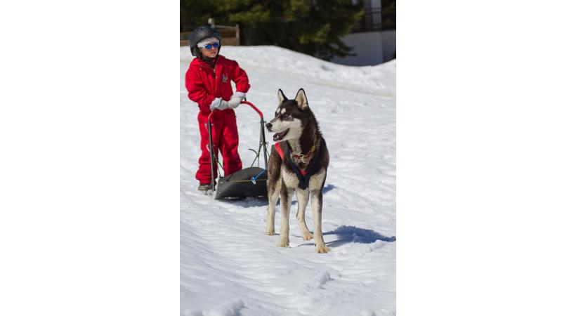 Pour les enfants, une précieuse initiation au contact animal. DR