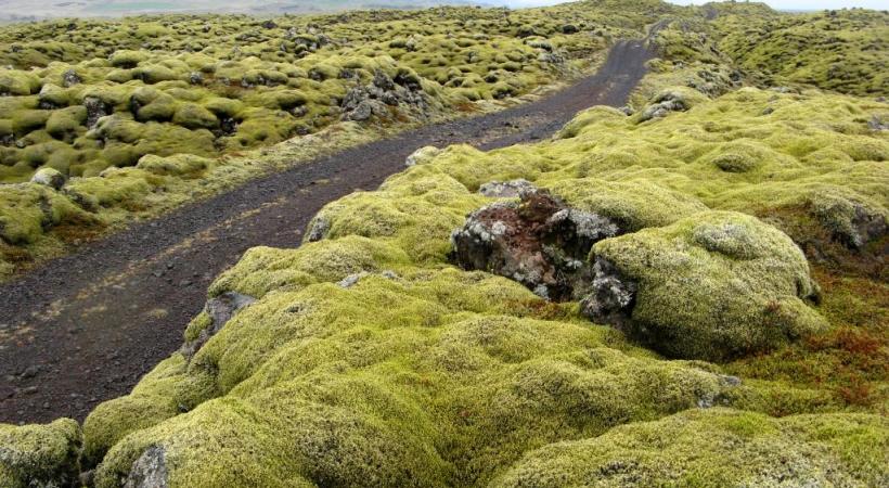 Islande, de feu et de glace. Bernard Pichon
