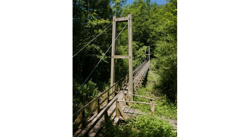 La passerelle haubanéé franchissant le ruisseau du Longet.