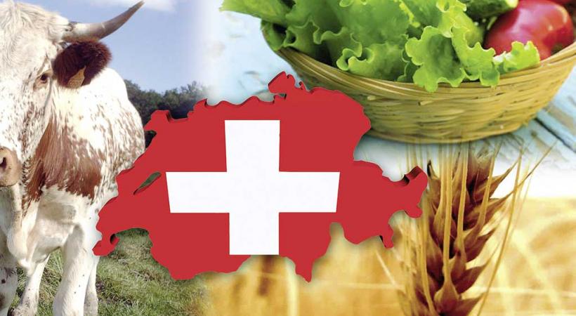 Tout un pan de l’agriculture est remis en cause. DR