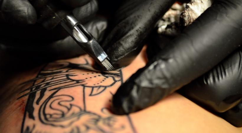 Tous les artistes sont des professionnels confirmés. STEPHANE CHOLLET 