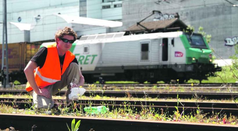 Luigi D'Andrea, biologiste indépendant, est à l'origine des découvertes de colza transgénique sur les voies ferroviaires de Lugano et de Bâle. 