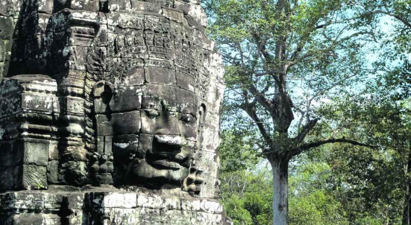 Divinité rupestre à l'ombre d'arbres centenaires.