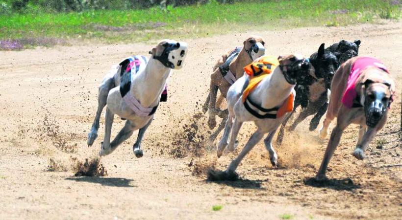 Championnat d’Europe