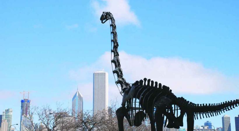 Panorama depuis le musée Field.