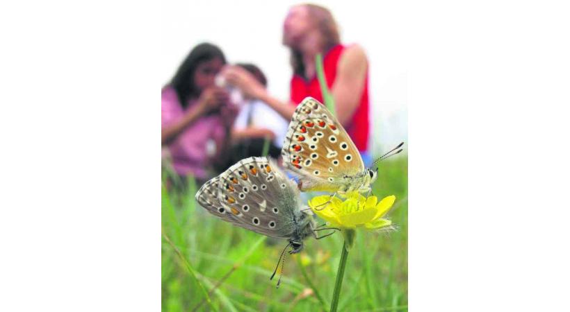 Une week-end entier dédié à la nature. 