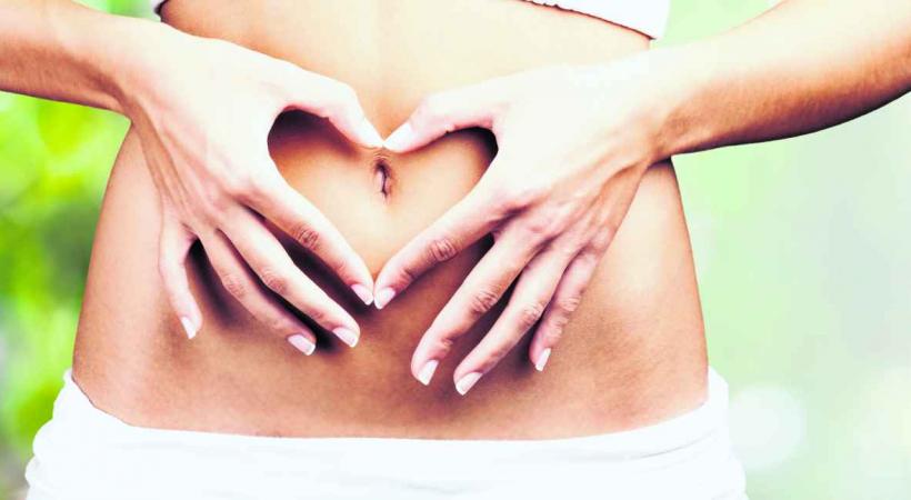 L'intestin est notre centre de vie. C'est là que se fabrique notre énergie. 