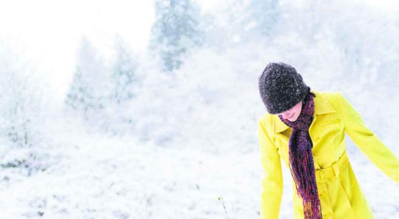 Traverser la saison hivernale en bonne santé grâce aux plantes. 