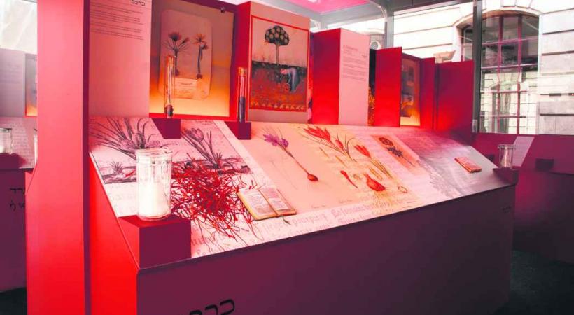 A la découverte des usages variés des senteurs. 